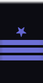 sleeve insignia