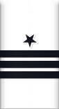 sleeve insignia