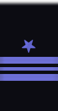 sleeve insignia