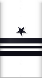 sleeve insignia