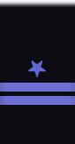 sleeve insignia