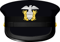 Cap badge, chin strap, and visor