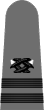 gray shoulder mark