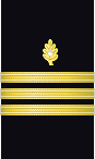 Sleeve insignia