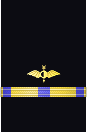 Sleeve insignia