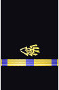 Sleeve insignia