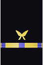 Sleeve insignia