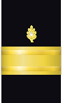 Sleeve insignia