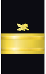 Sleeve insignia