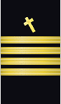 sleeve insignia