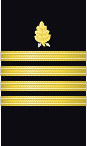 sleeve insignia