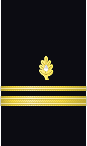 Sleeve insignia