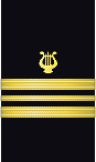 sleeve insignia