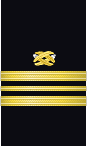 sleeve insignia