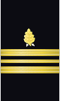 sleeve insignia