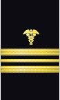 sleeve insignia