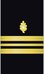 Sleeve insignia