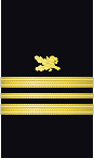 Sleeve insignia