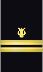 sleeve insignia