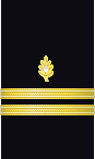 Sleeve insignia