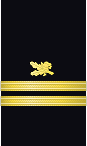 Sleeve insignia