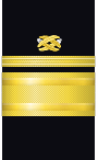 sleeve insignia