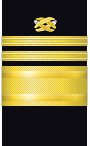 sleeve insignia