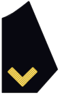 collar insignia