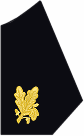 collar insignia