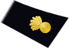 collar insignia