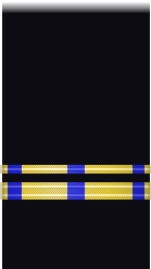 sleeve insignia