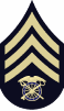 rank insignia